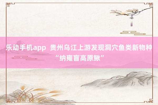 乐动手机app  贵州乌江上游发现洞穴鱼类新物种“纳雍盲高原鳅”