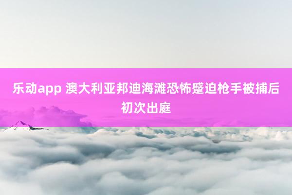 乐动app 澳大利亚邦迪海滩恐怖蹙迫枪手被捕后初次出庭