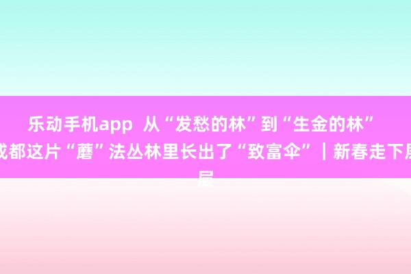 乐动手机app  从“发愁的林”到“生金的林” 成都这片“蘑”法丛林里长出了“致富伞”｜新春走下层