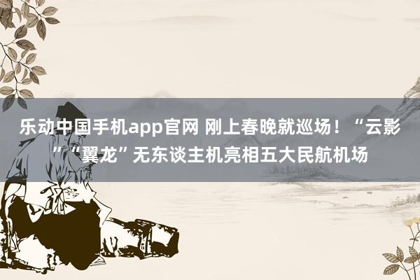 乐动中国手机app官网 刚上春晚就巡场！“云影”“翼龙”无东谈主机亮相五大民航机场