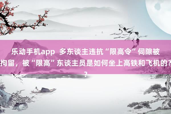 乐动手机app  多东谈主违抗“限高令”伺隙被拘留，被“限高”东谈主员是如何坐上高铁和飞机的？