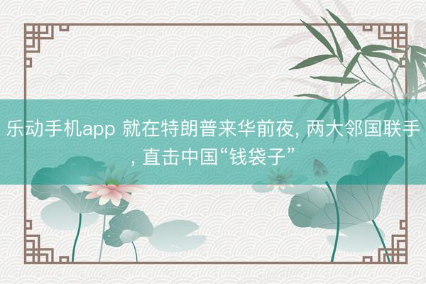 乐动手机app 就在特朗普来华前夜， 两大邻国联手， 直击中国“钱袋子”