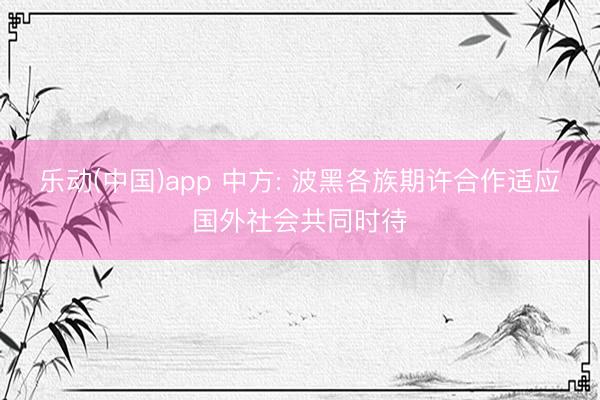 乐动(中国)app 中方: 波黑各族期许合作适应国外社会共同时待