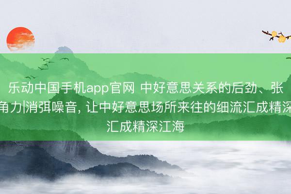 乐动中国手机app官网 中好意思关系的后劲、张力、角力|消弭噪音， 让中好意思场所来往的细流汇成精深江海