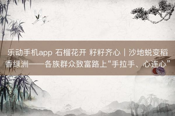 乐动手机app 石榴花开 籽籽齐心｜沙地蜕变稻香绿洲——各族群众致富路上“手拉手、心连心”
