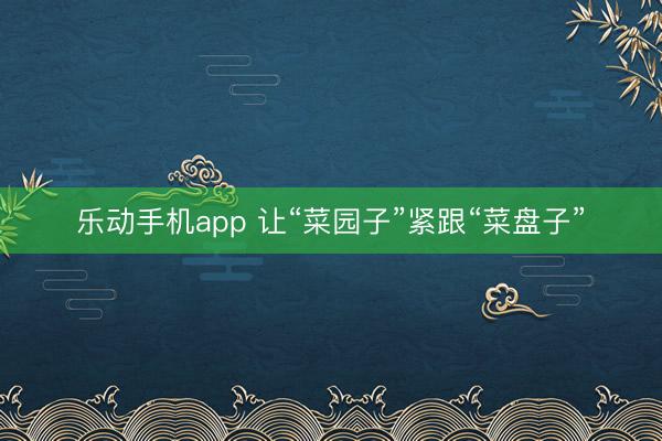 乐动手机app 让“菜园子”紧跟“菜盘子”