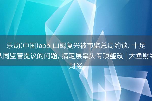 乐动(中国)app 山姆复兴被市监总局约谈: 十足认同监管提议的问题， 搞定层牵头专项整改 | 大鱼财经