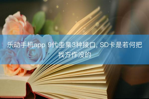 乐动手机app 9代圭臬3种接口， SD卡是若何把我方作没的